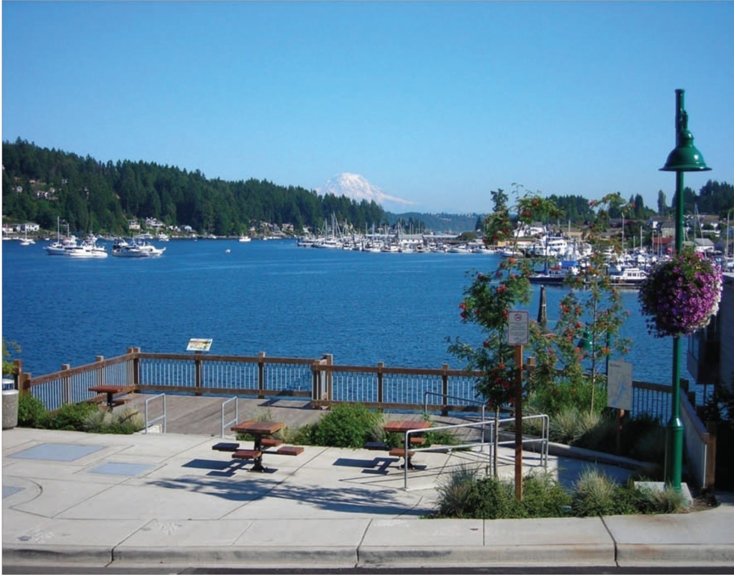 Bogue Viewing Platform